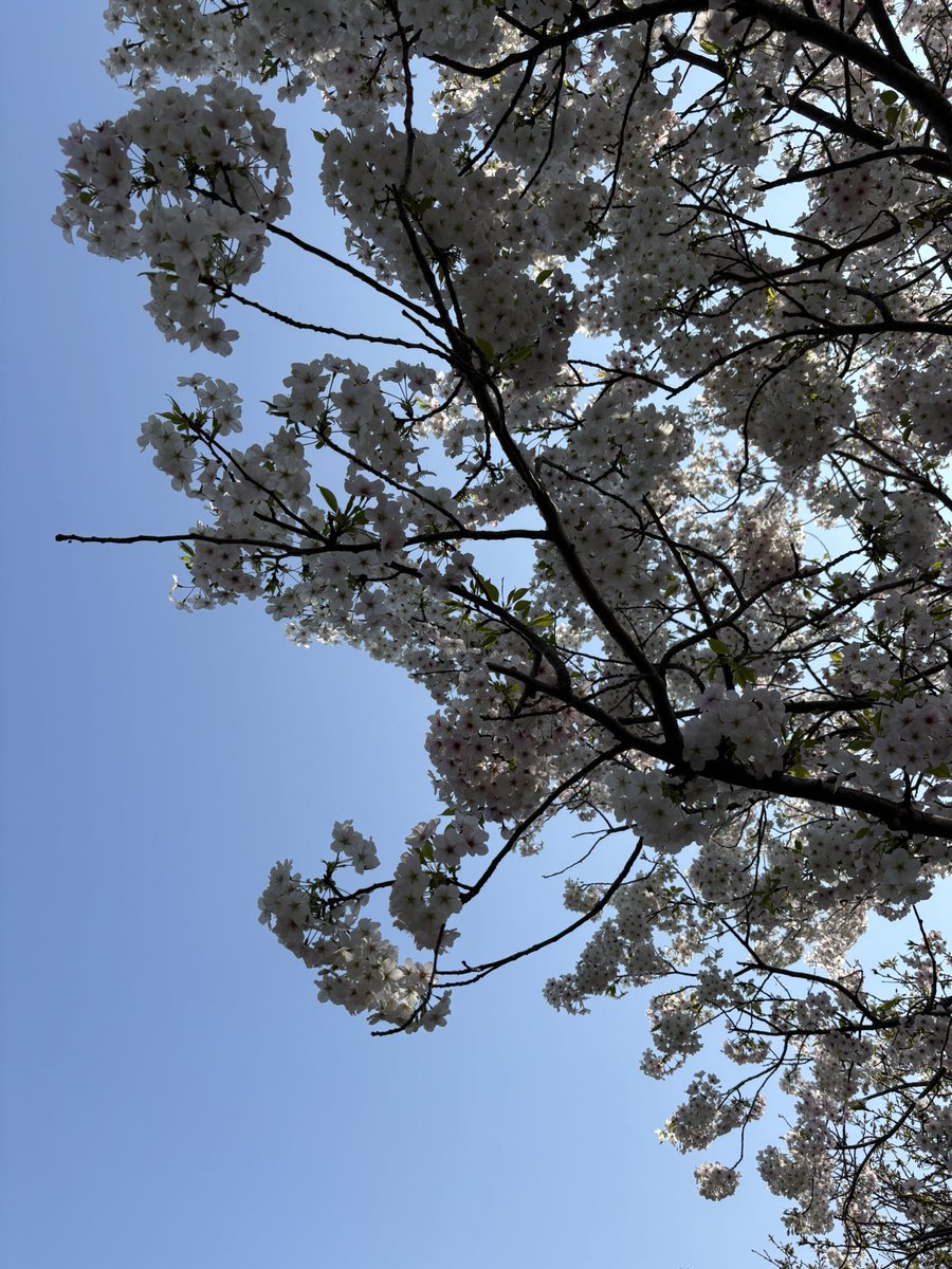 ㍿Office Webminare【公式】 tweet media