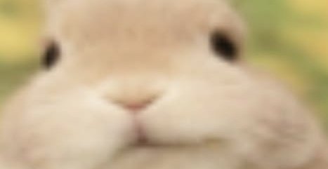 Cream the Rabbit! tweet media