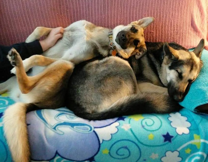 ཐི༏ཋྀ Cozy ཐི༏ཋྀ 🖤Momma Moth🖤 tweet media