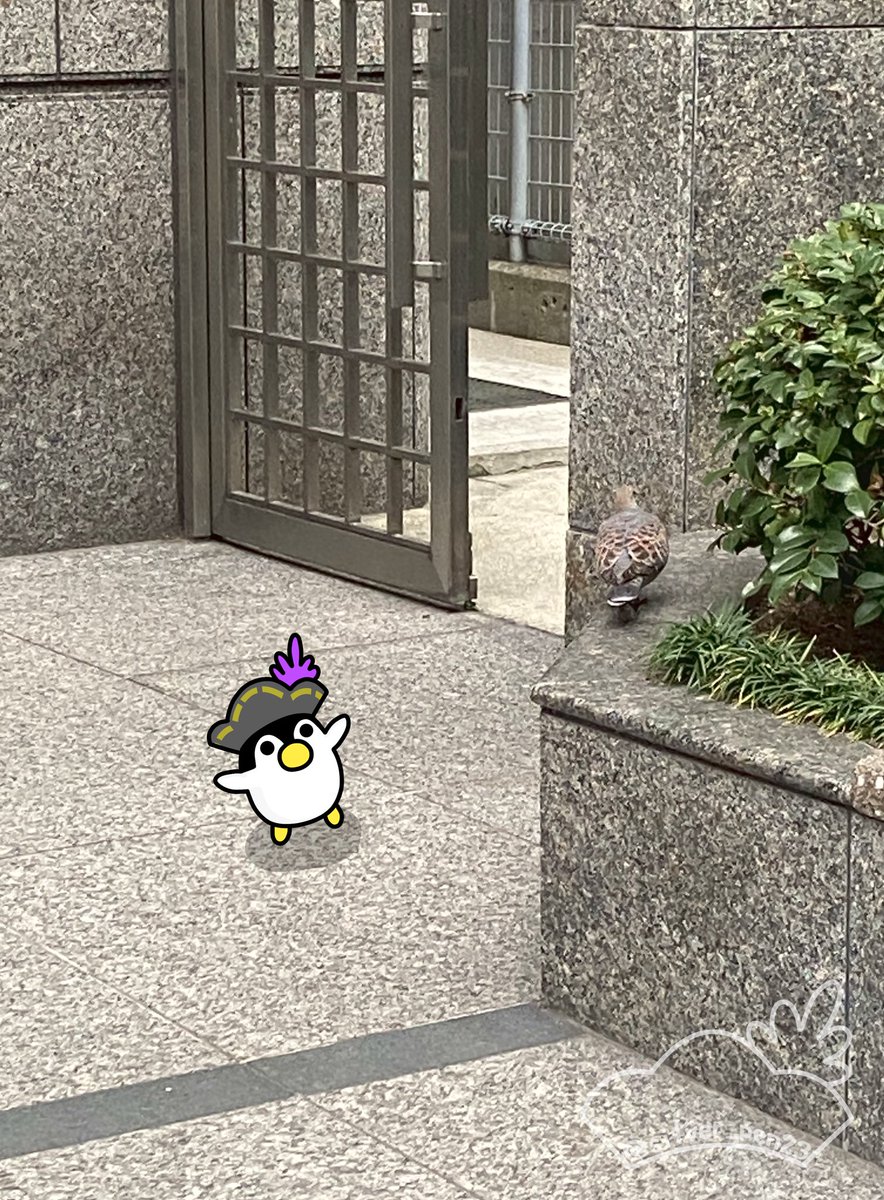 オフかいにきょうみありませんか？