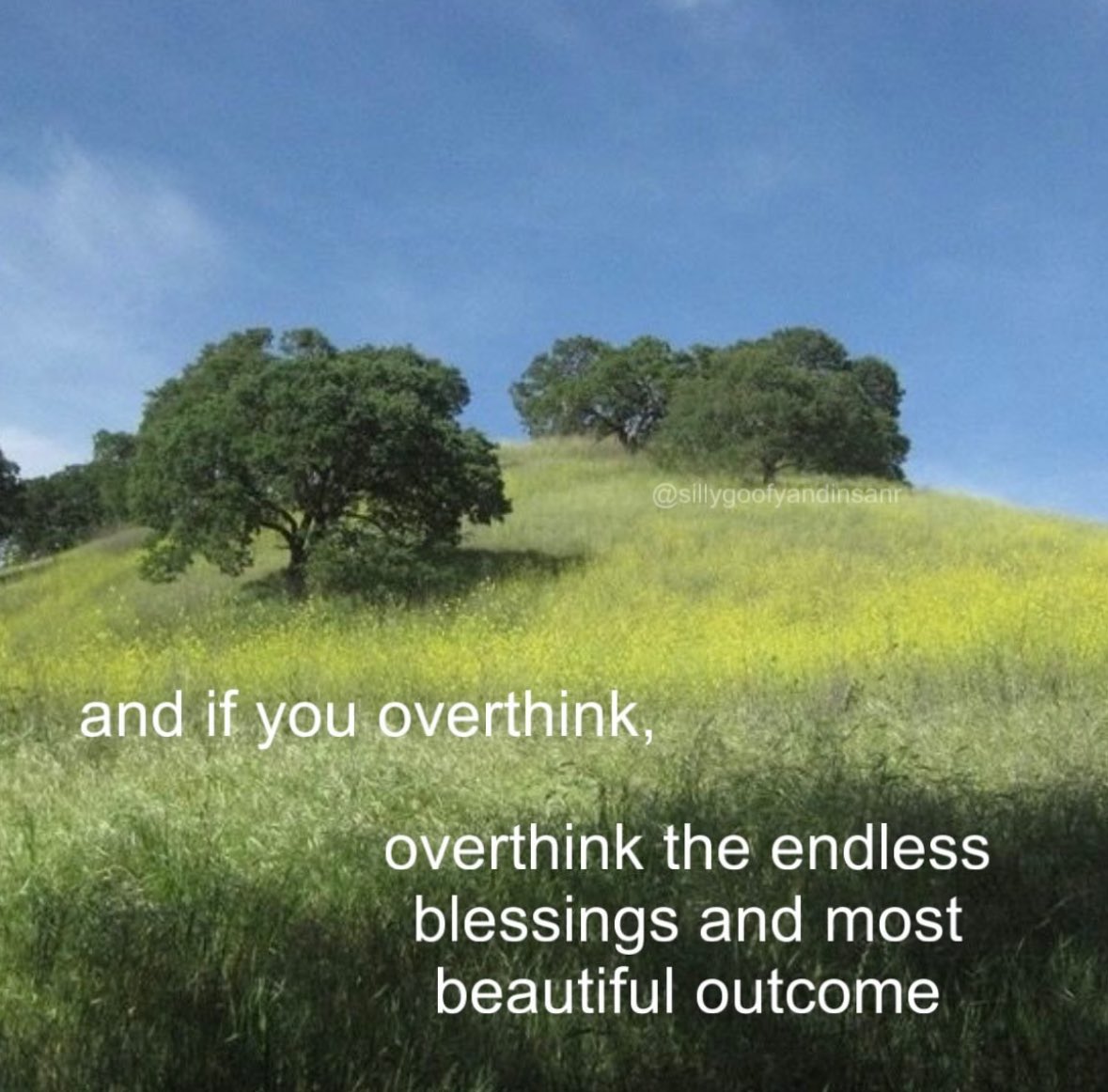 Novelle art. tweet media