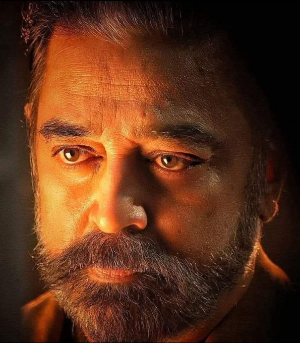 Ela Selvan 🔦↗️ tweet media