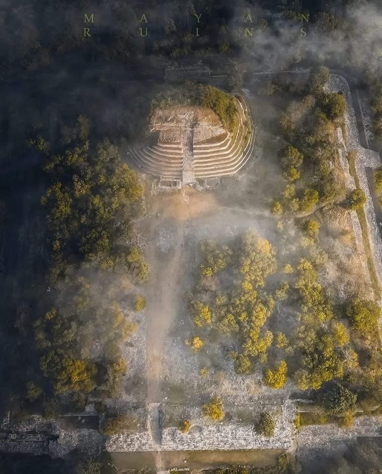 Oswaldo Matú 💀 tweet media