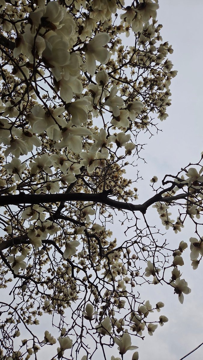 전에 엄마는 왜케 꽃사진을 찍나 했는데 내가 그러고 있다