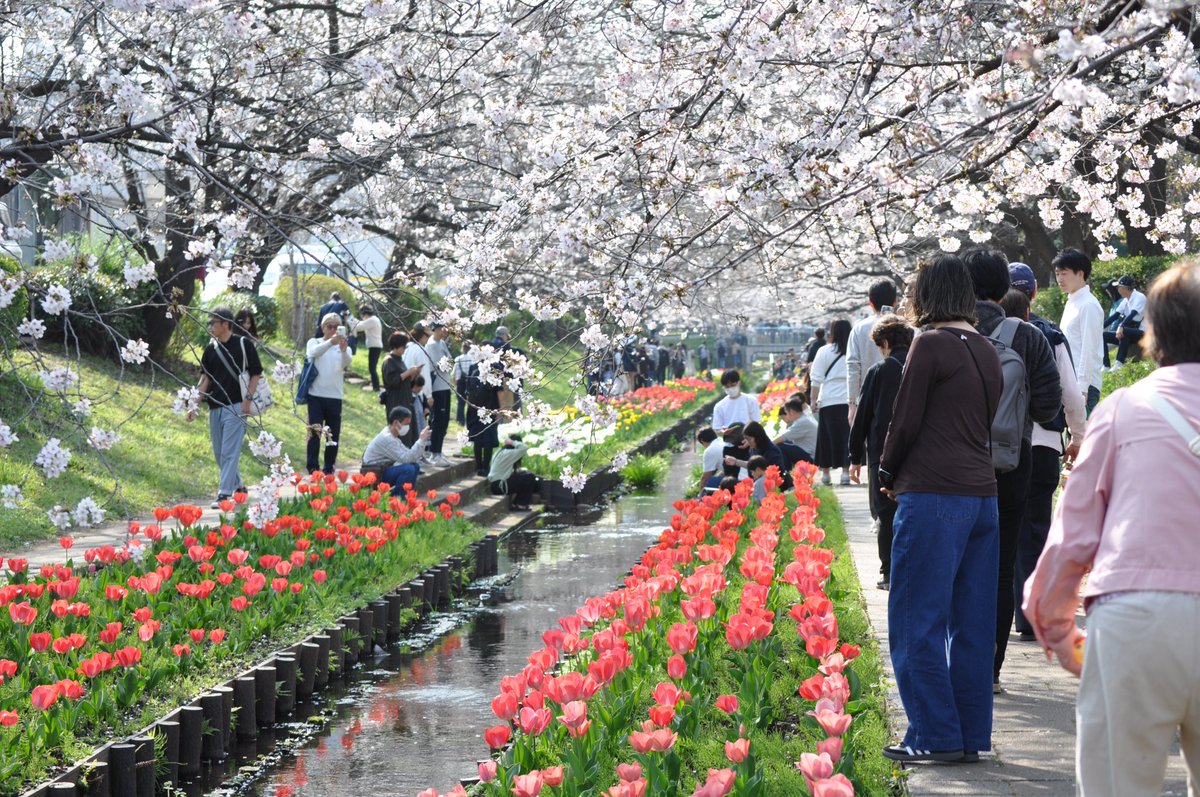 かずま tweet media