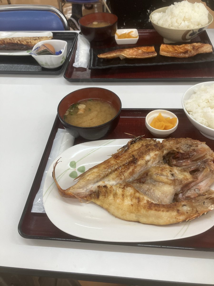 おにゃんぽこん。 tweet media