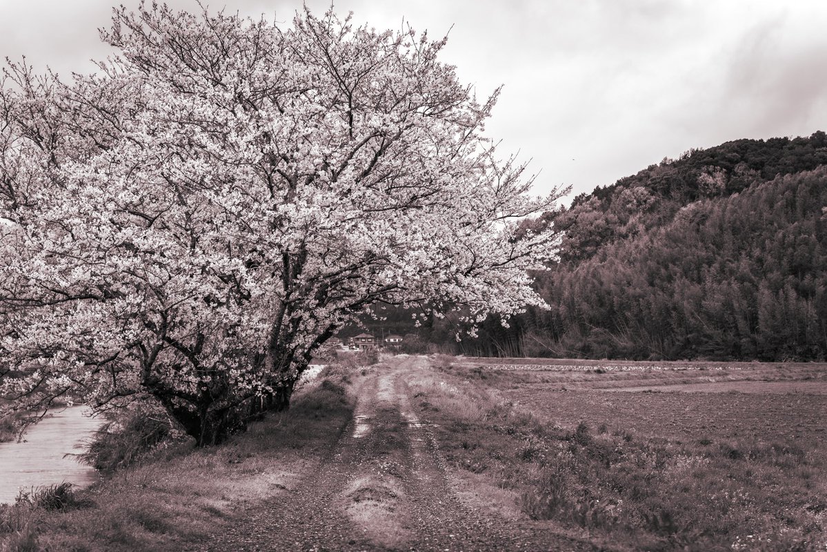 疲れ切った公休。
用事を済ませないとだったのに…
すっかり忘れていた。
休日使い方を失敗した1日。😭