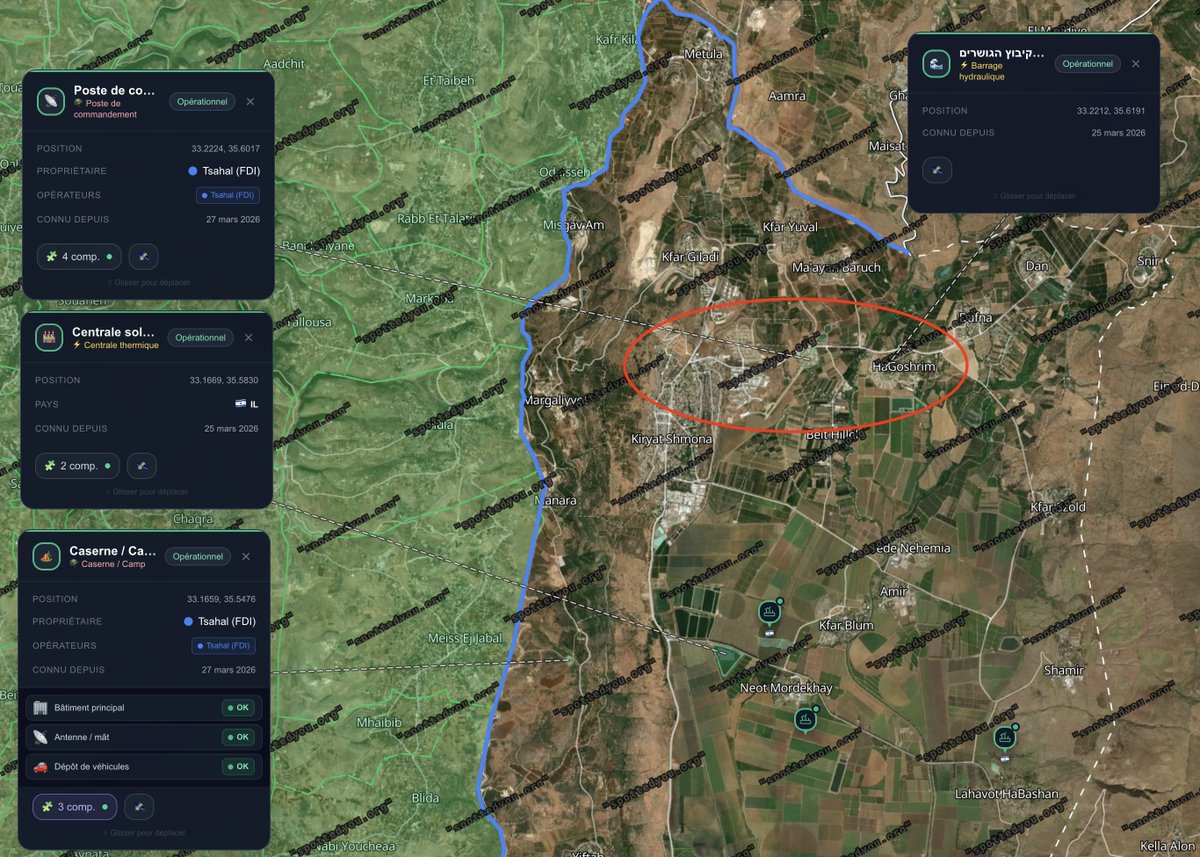 BRICS News FR tweet media