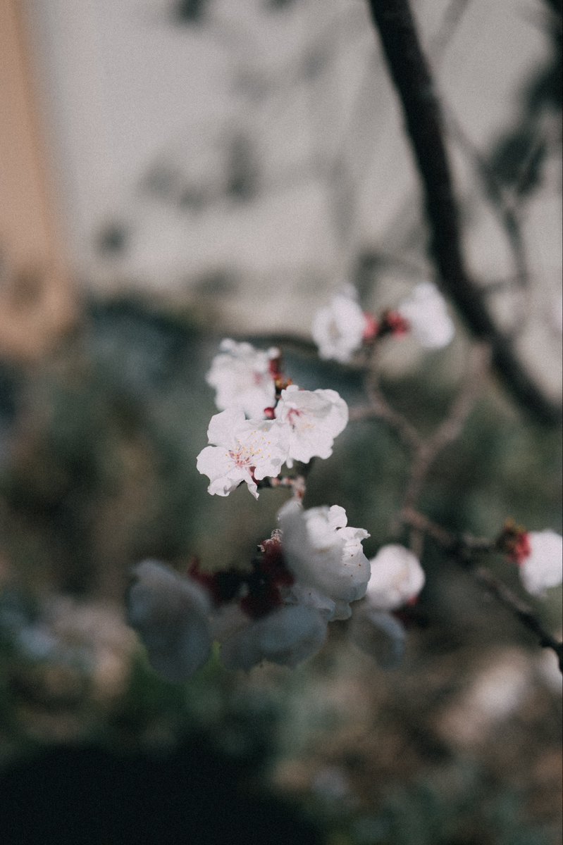 millioneon うえでぃー tweet media