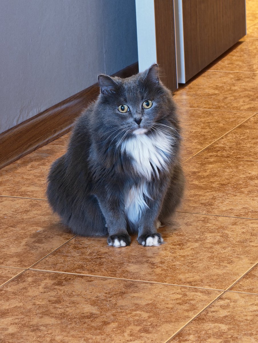 Cryptogirl🔴 tweet media