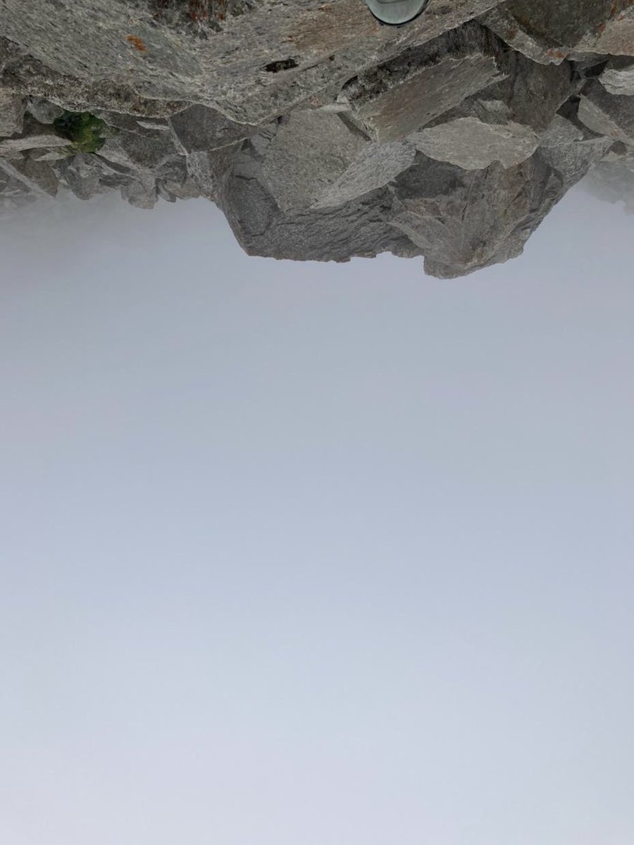 Maksim Subota tweet media