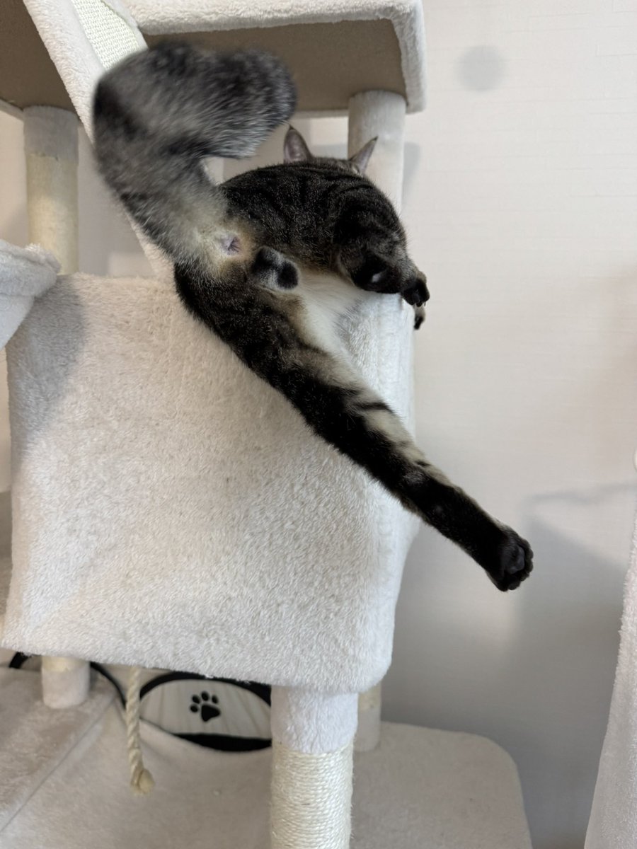 くちゃみ tweet media