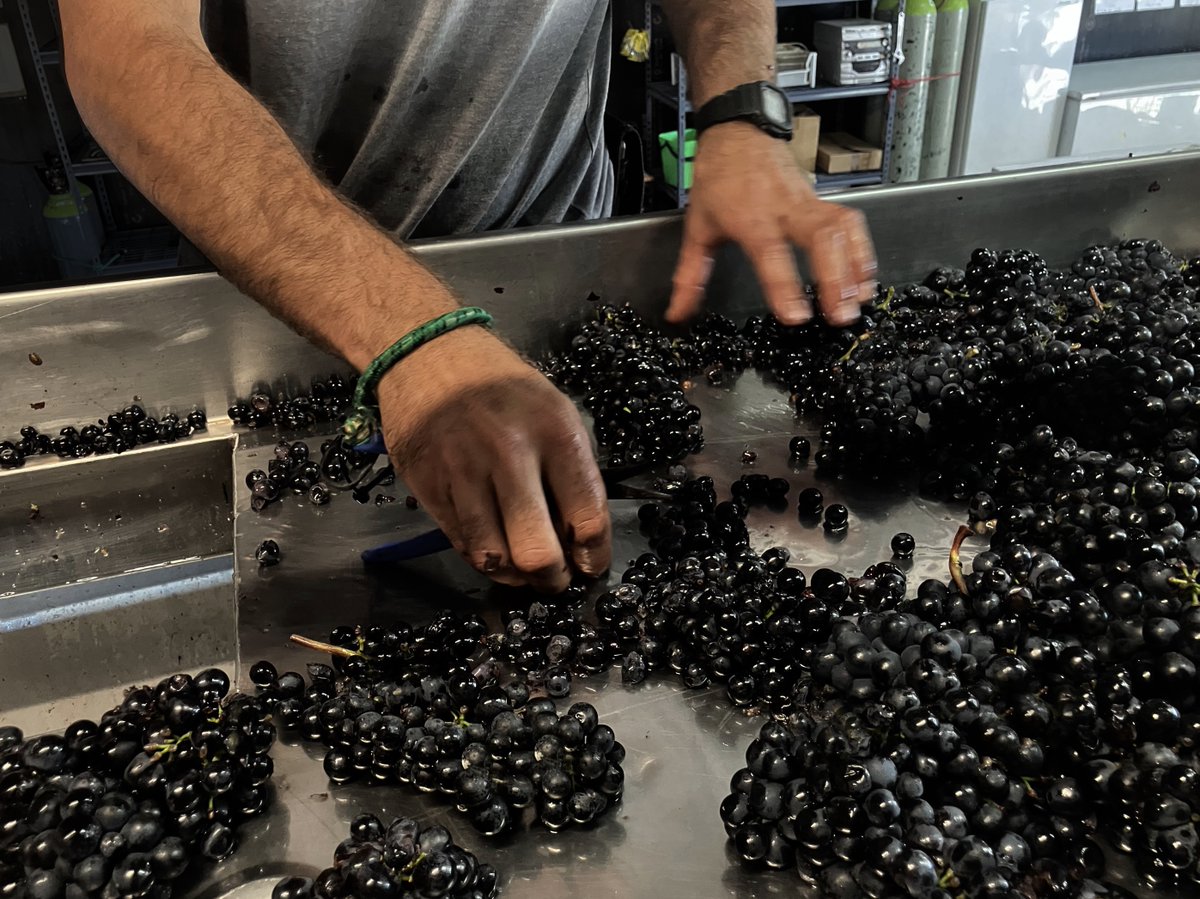 D E V O T U S tweet media