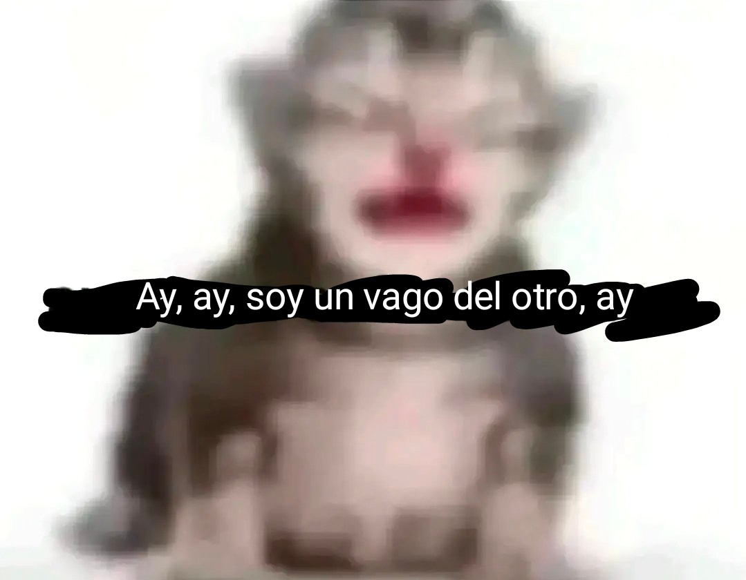 🥥🐐 tweet media