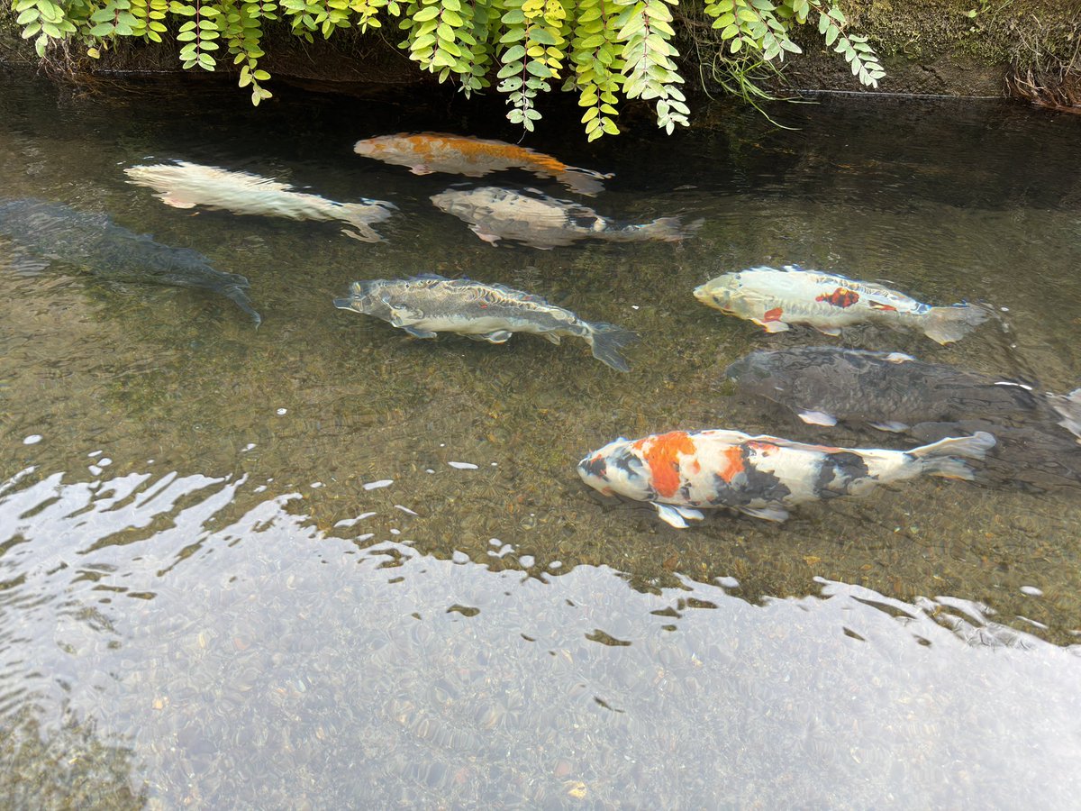 prashanth tweet media