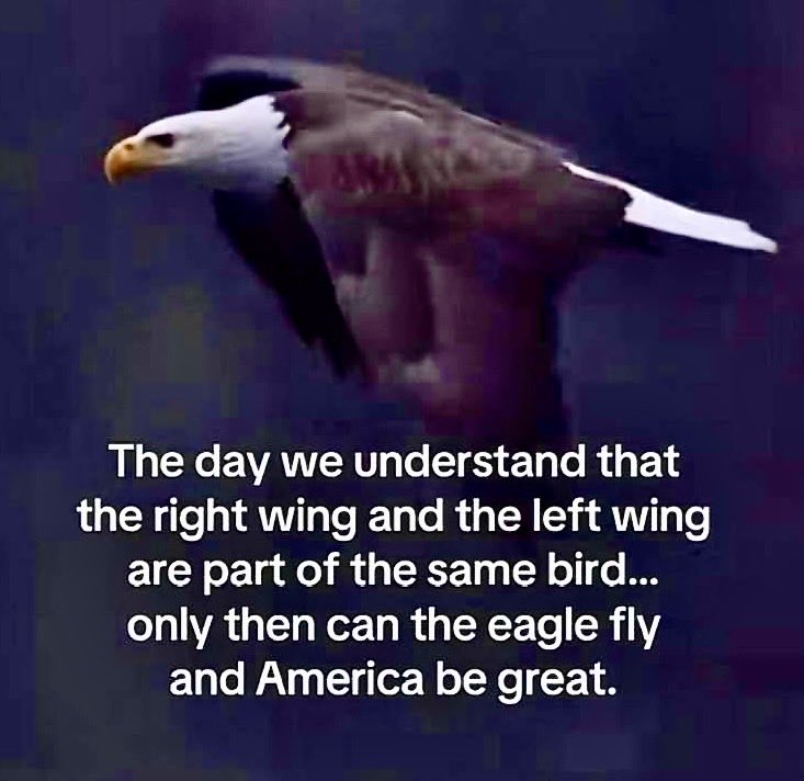 Bill Willard tweet media