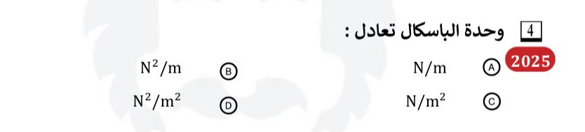 🐈‍⬛🌼 tweet media