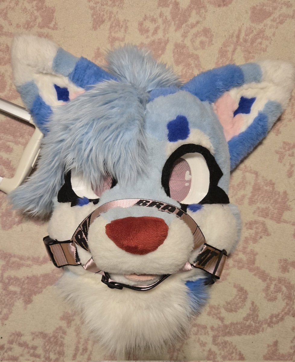 SleepySaturn 💤 tweet media