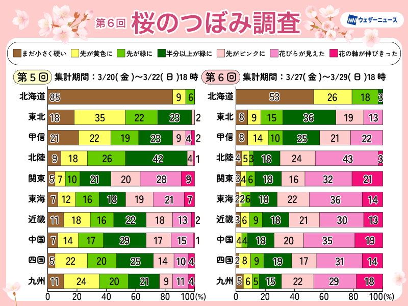 【桜前線は東北へ🌸】
ウェザーニュースでは開花予想精度の更なる向上のために桜のつぼみ調査を実施中です。第六回つぼみ調査では西日本・東日本の6割以上のつぼみが「先がピンクに」以上に生長。今週はたびたび雨が降りますが、春の陽気でさらに生長が進みそうです。
weathernews.jp/news/202603/30…
