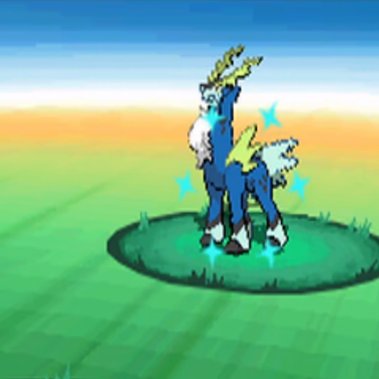 ASK＠ポケモン tweet media