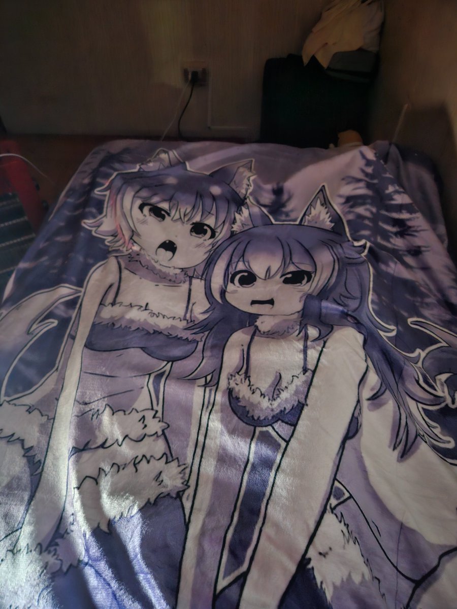 ZeroKoneko - ゼロコネコ 🇨🇱 🐈 tweet media