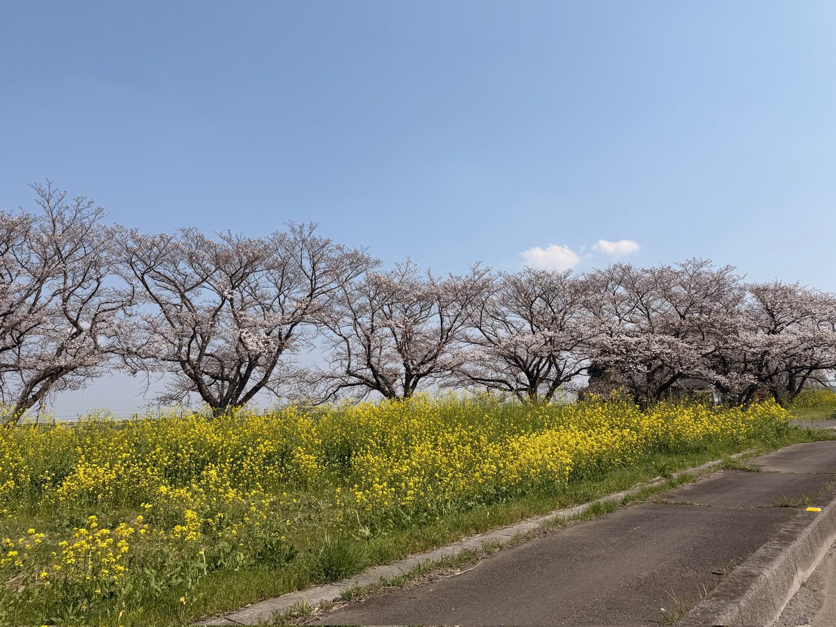 Old_Time_Walk's tweet photo. 日曜日の行動 https://t.co/25PnGilBSB