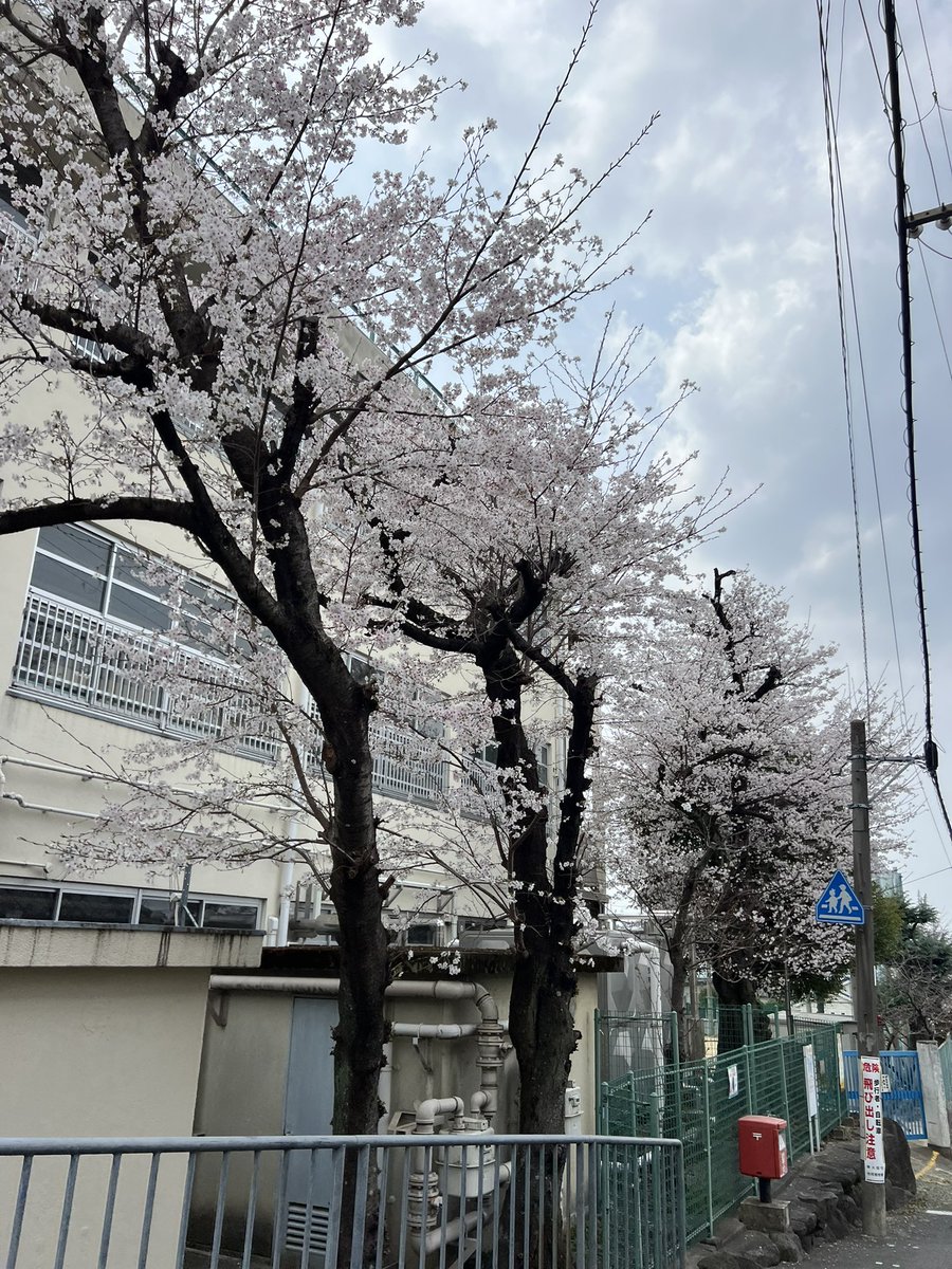 やまわきえりこミャクえりこ（個メディアン） tweet media