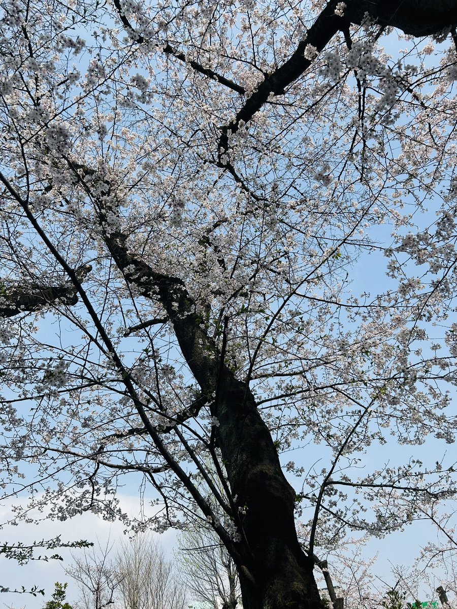 YAMA-JUN tweet media