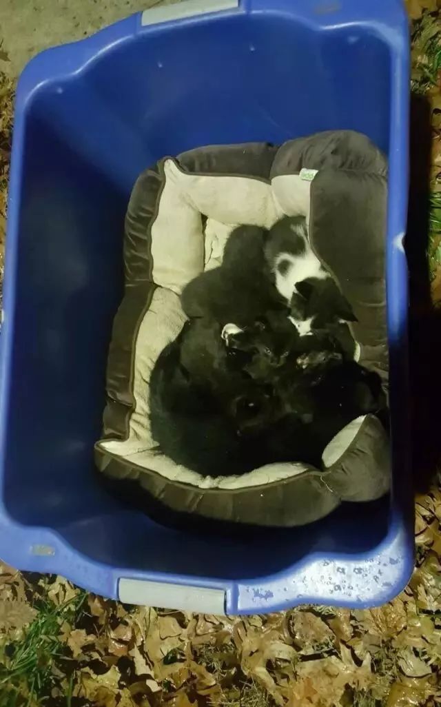 Tim Crowner tweet media