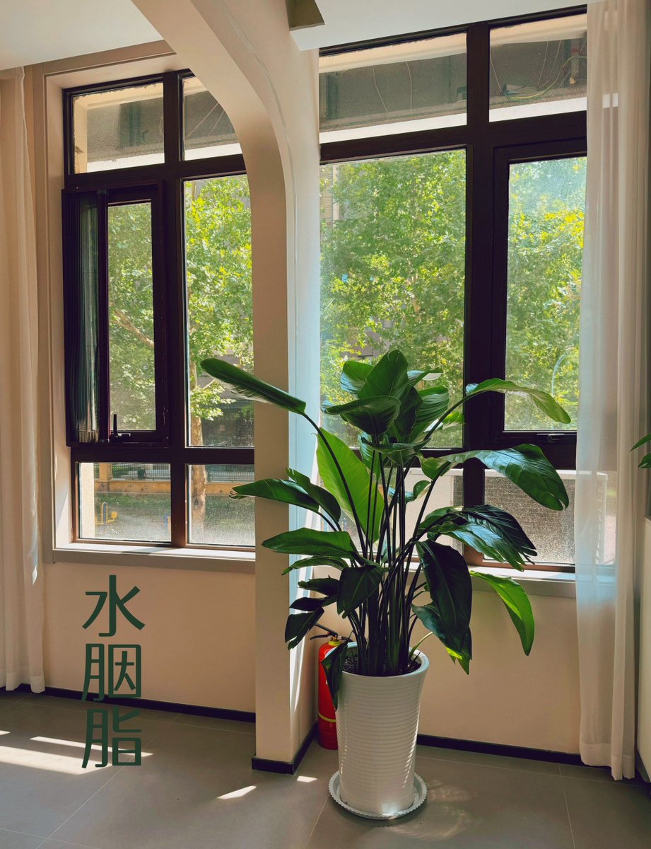 Mateusz Boguski tweet media