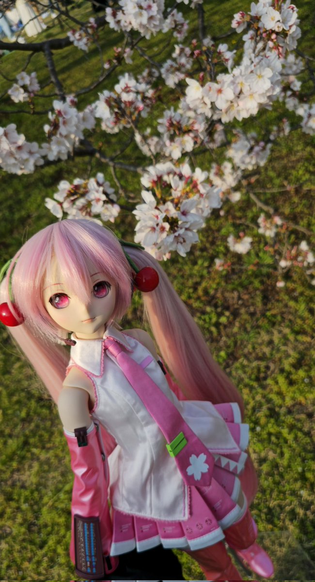 くおんねぎ@ポケミク tweet media