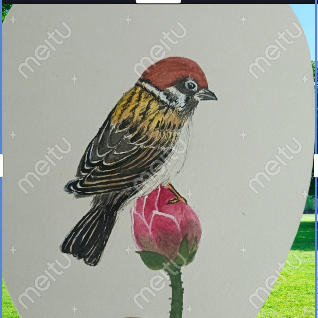 Bizzill's tweet photo. "Start small—pick 1 tiny interest (e.g., bird-watching, sketching) u0026 spend 10 mins/day on it. Consistency beats grand plans. What’s your micro-interest  #HobbyJourney" https://t.co/W6J3aMVw0P