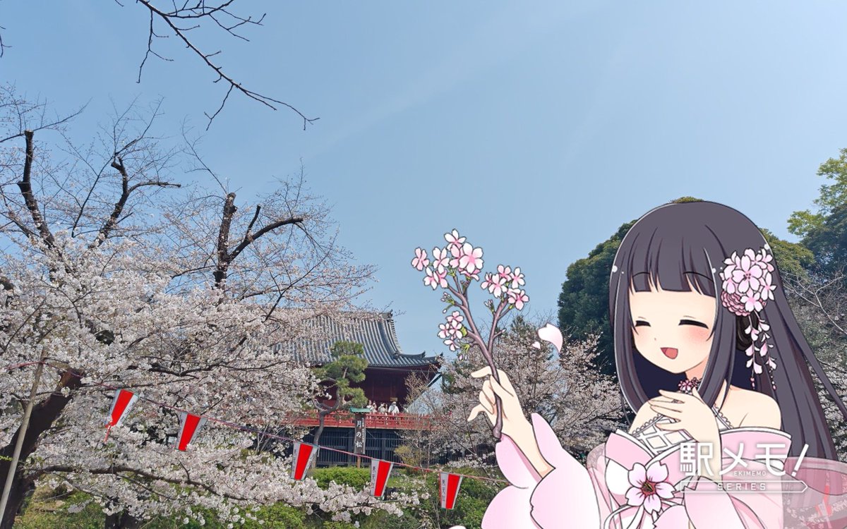 すまきゅん tweet media