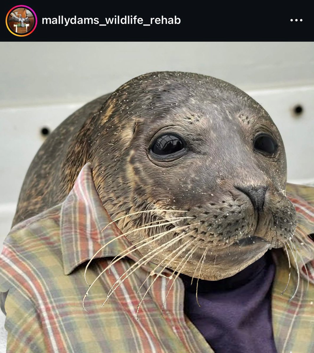 Stelonlevo tweet media