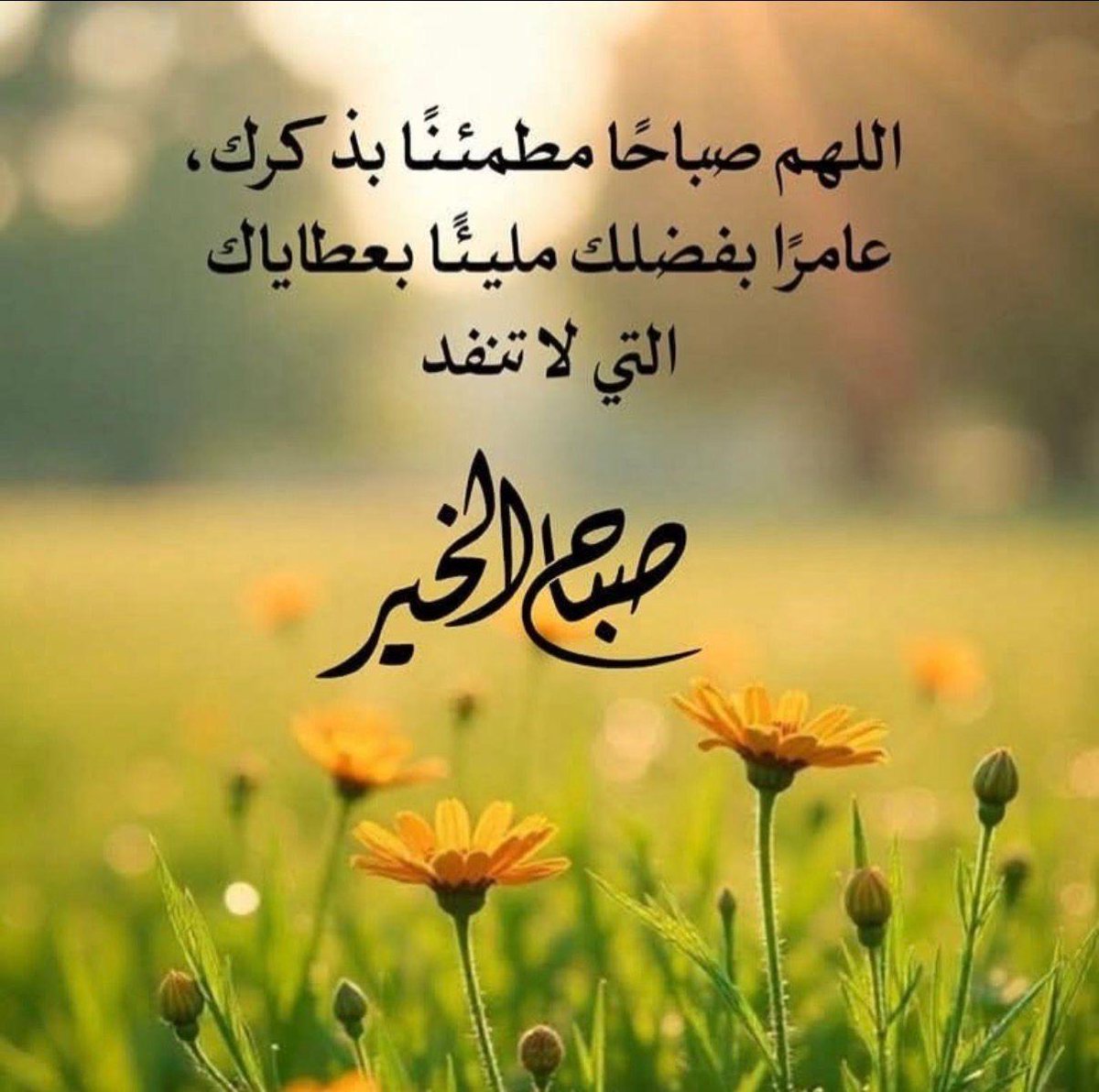 🖤💛 mohd.q.q tweet media