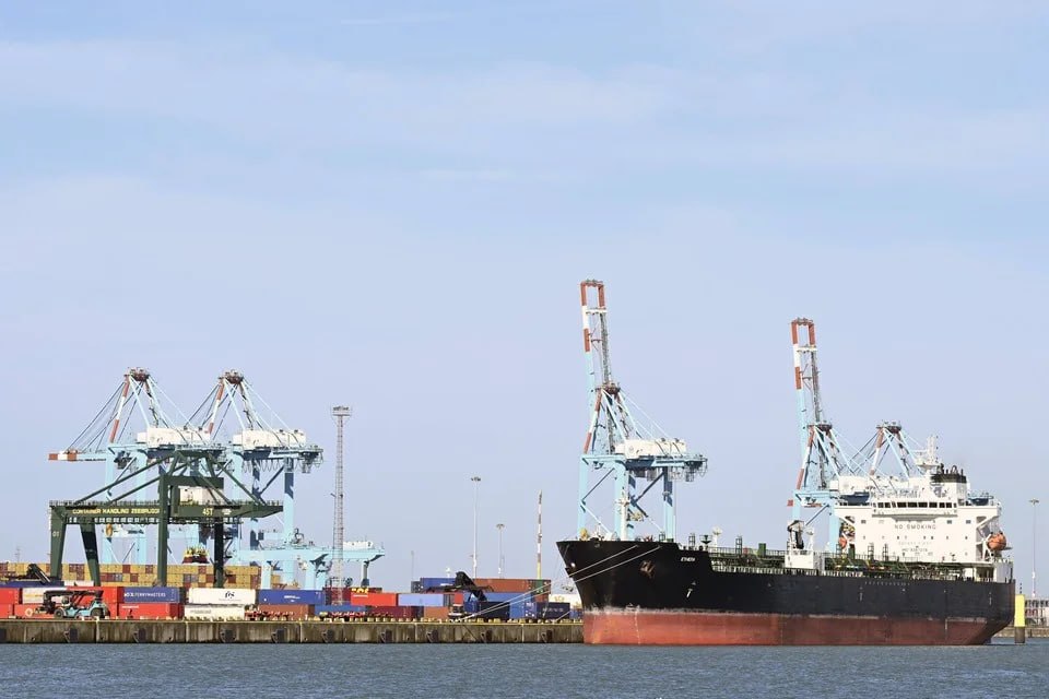 AMdValle tweet media