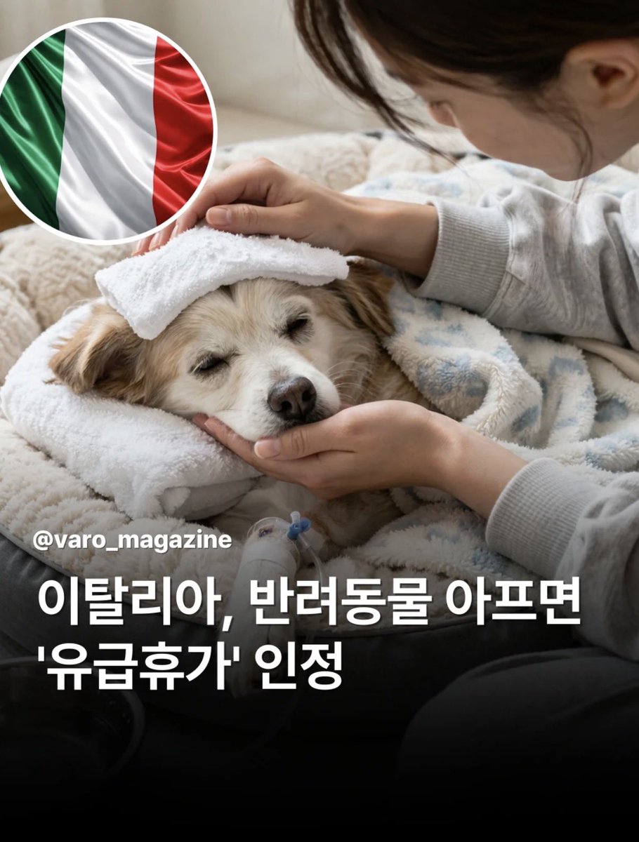 새콤이 tweet media