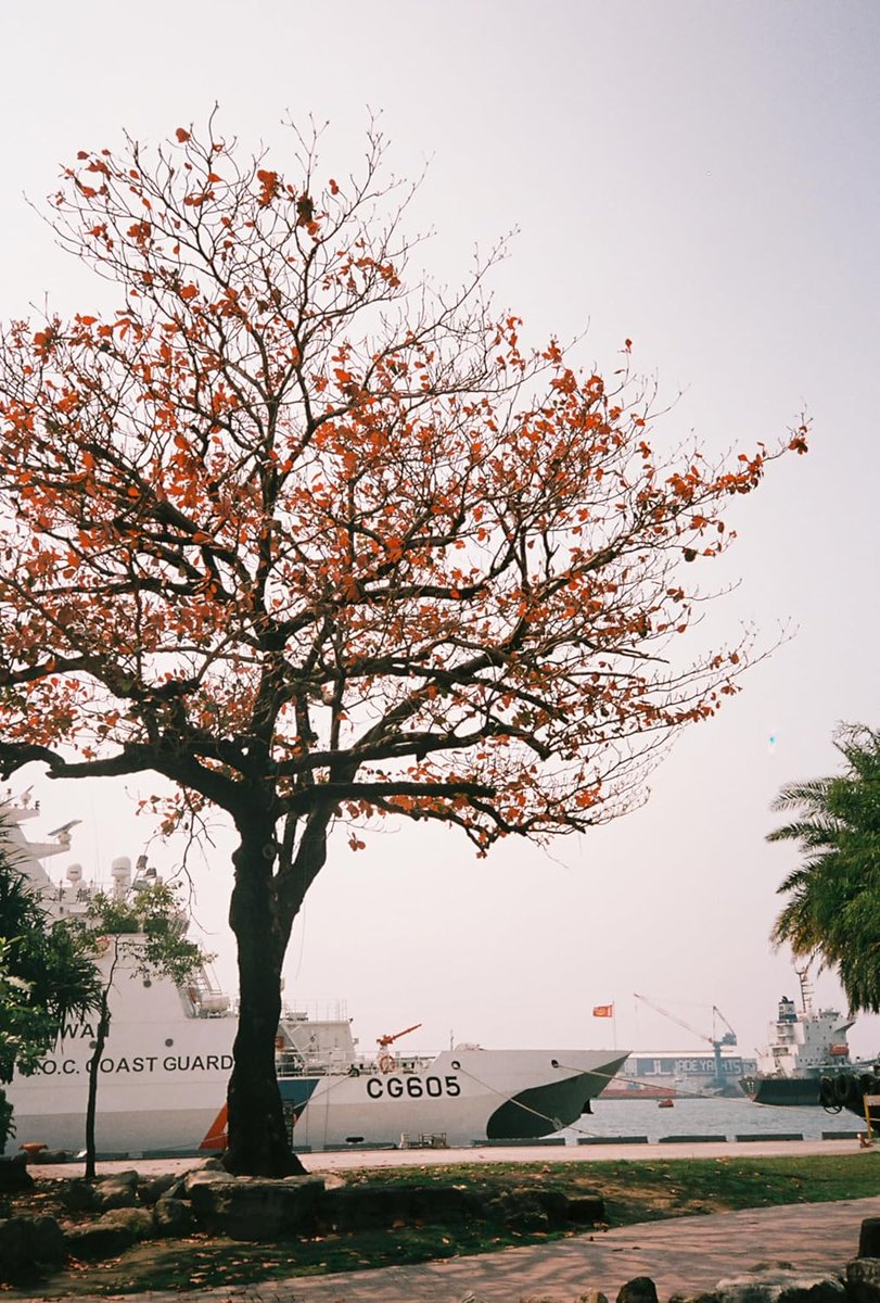 チャンプカメラ tweet media