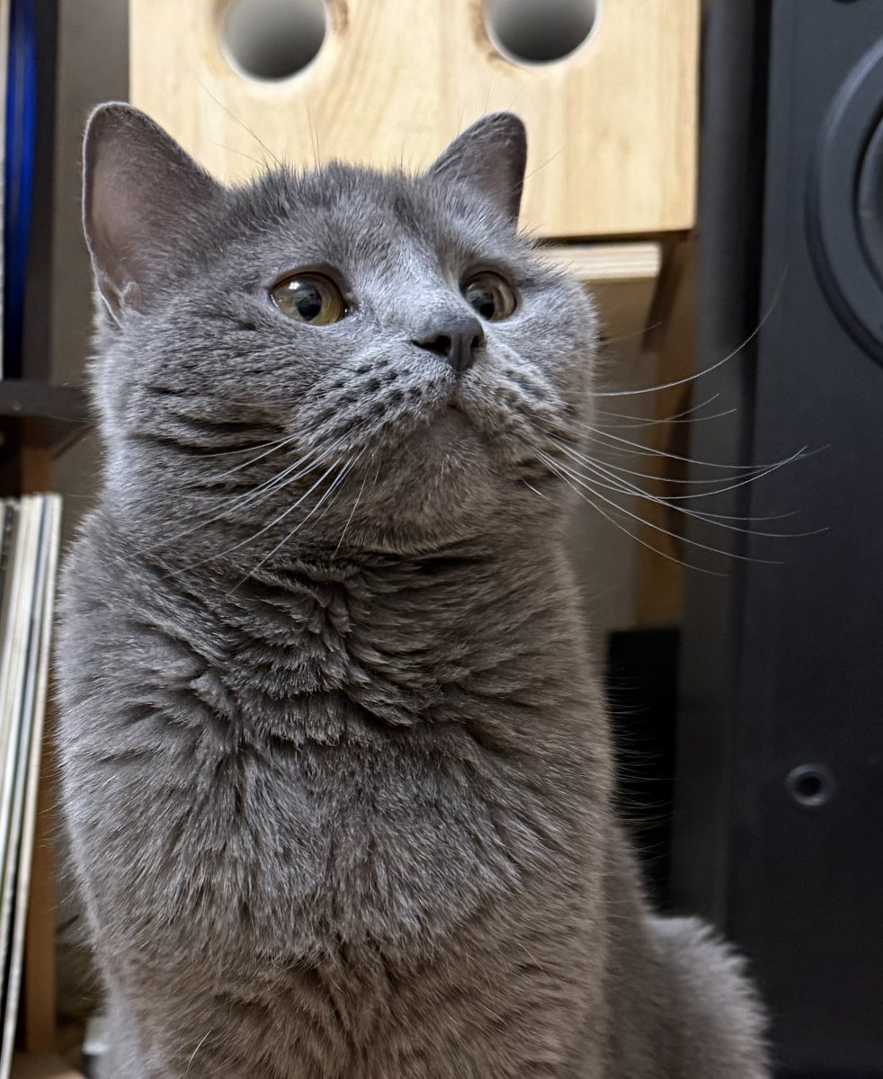 Андрей tweet media