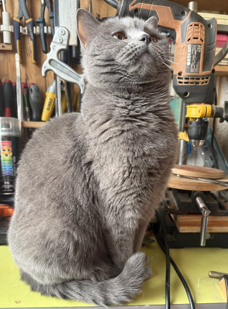 Андрей tweet media