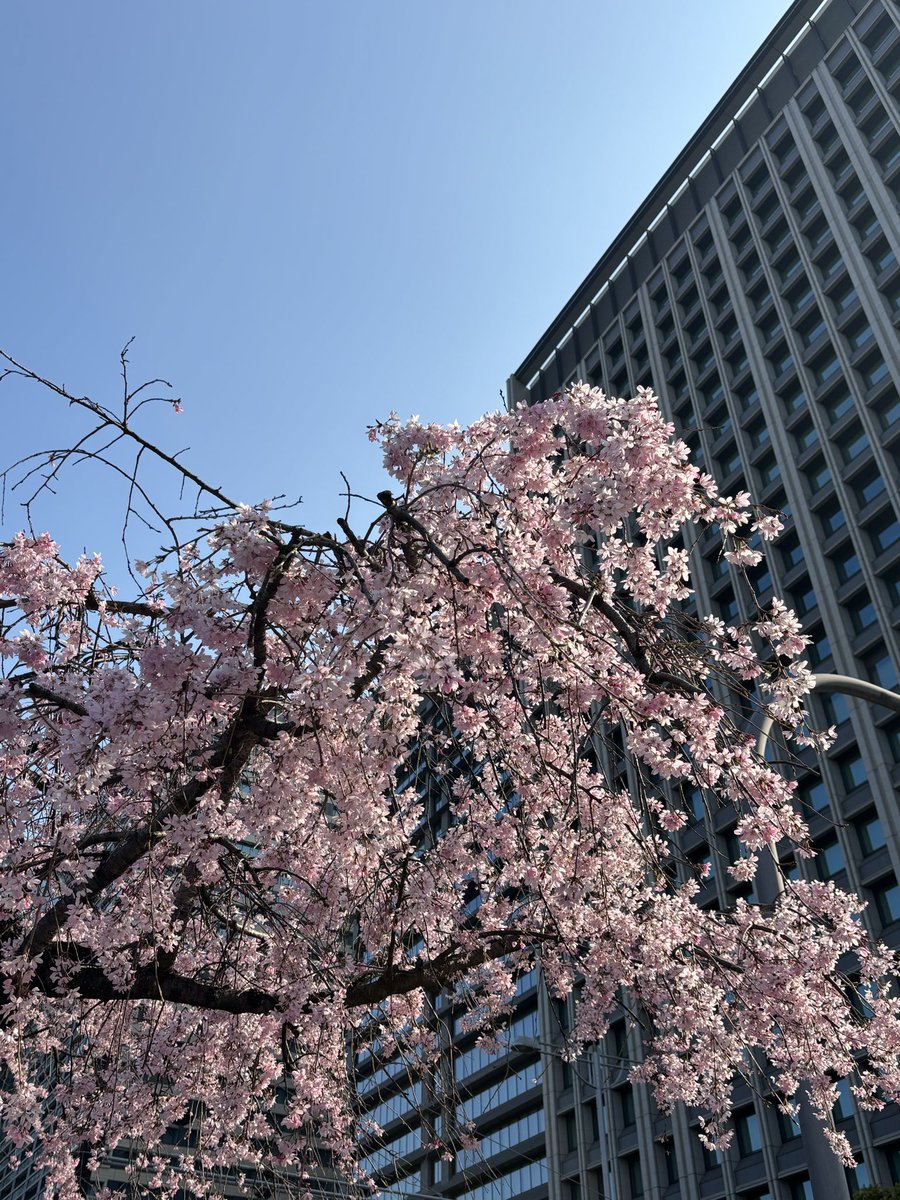 観音坂独歩 tweet media