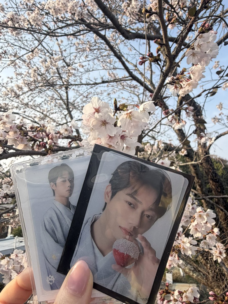 塩こんぶ⭐︎MUZE tweet media