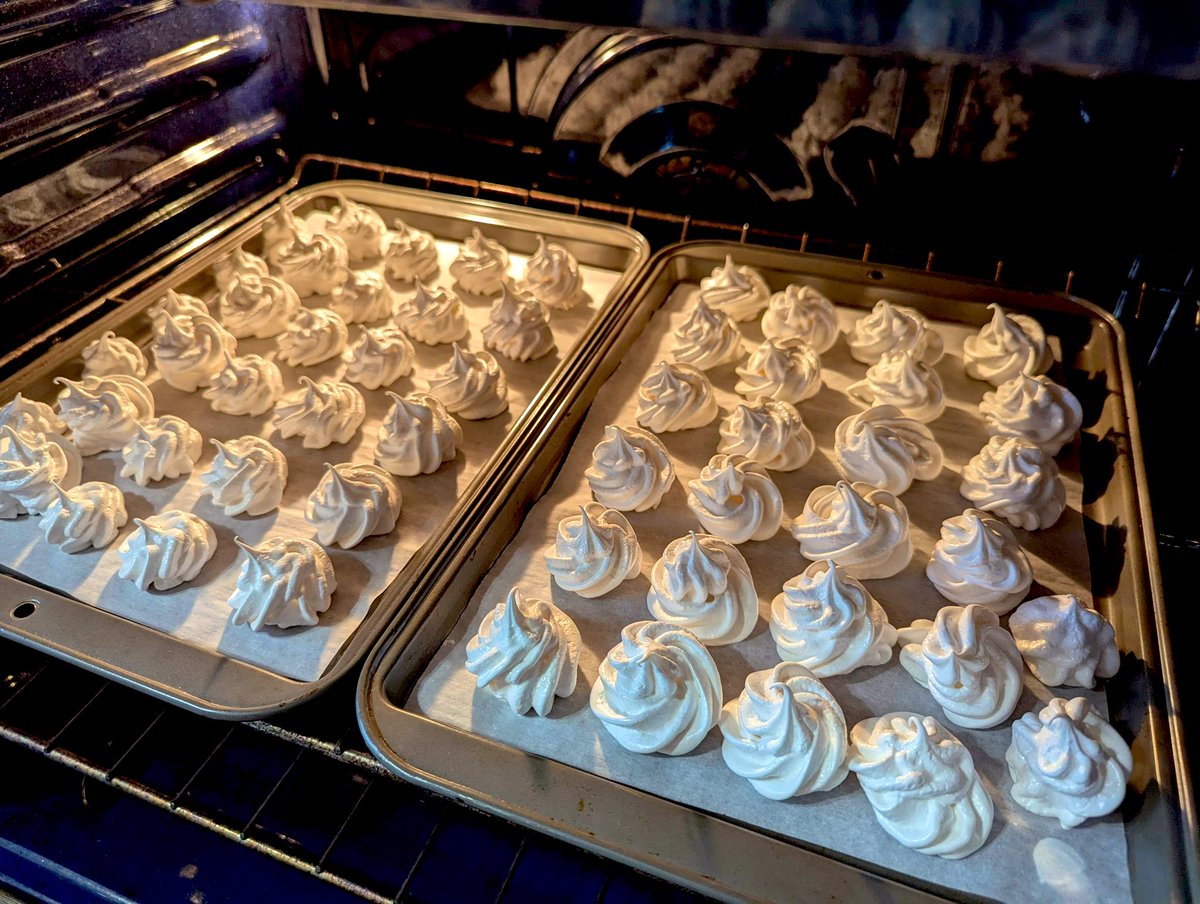 momo🌷 tweet media