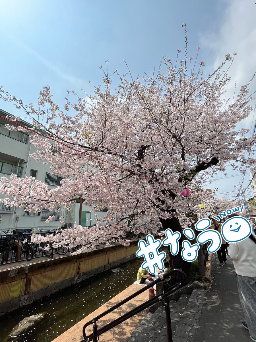 あぬ tweet media