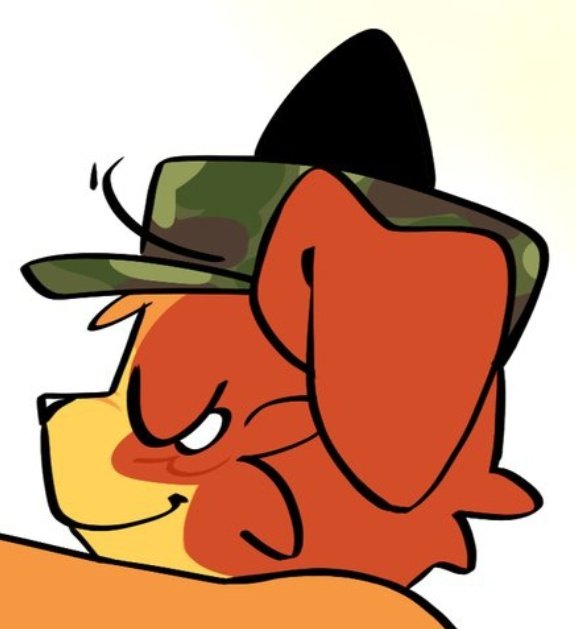 Onurtk 🫯 tweet media