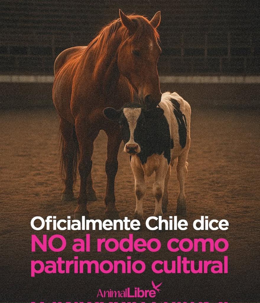 <a href="/N_PrensaCL/">N Prensa</a> <a href="/NataliaDucoSole/">Natalia Duco</a> <a href="/voceriagobierno/">Vocería de Gobierno de Chile</a> <a href="/GobiernodeChile/">Gobierno de Chile</a> El Gobierno de Kast, nos retrocede a un Chile cavernícola. 💀💀