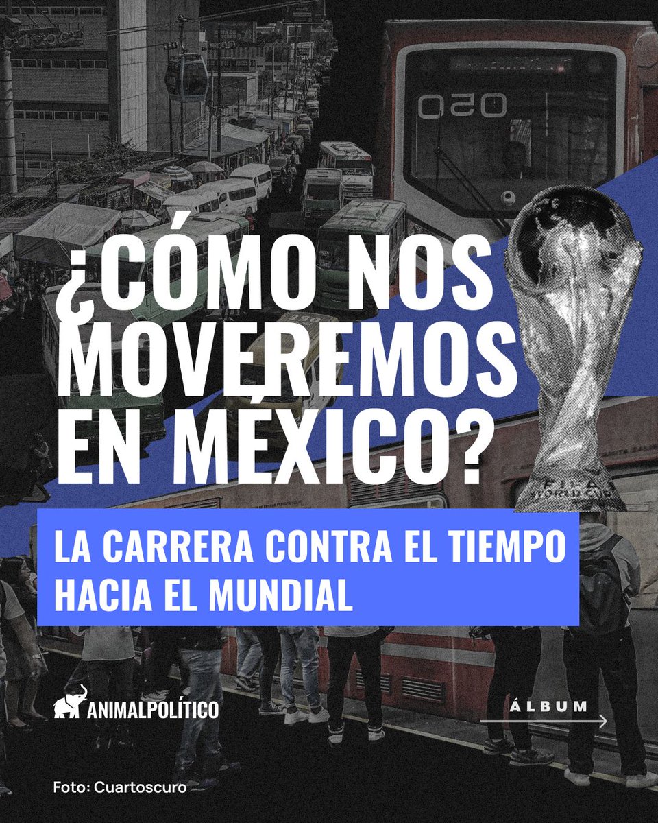 Animal Político tweet media