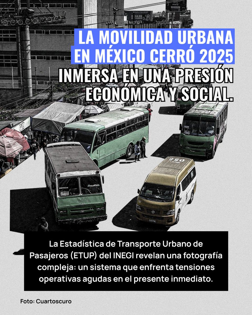 Animal Político tweet media