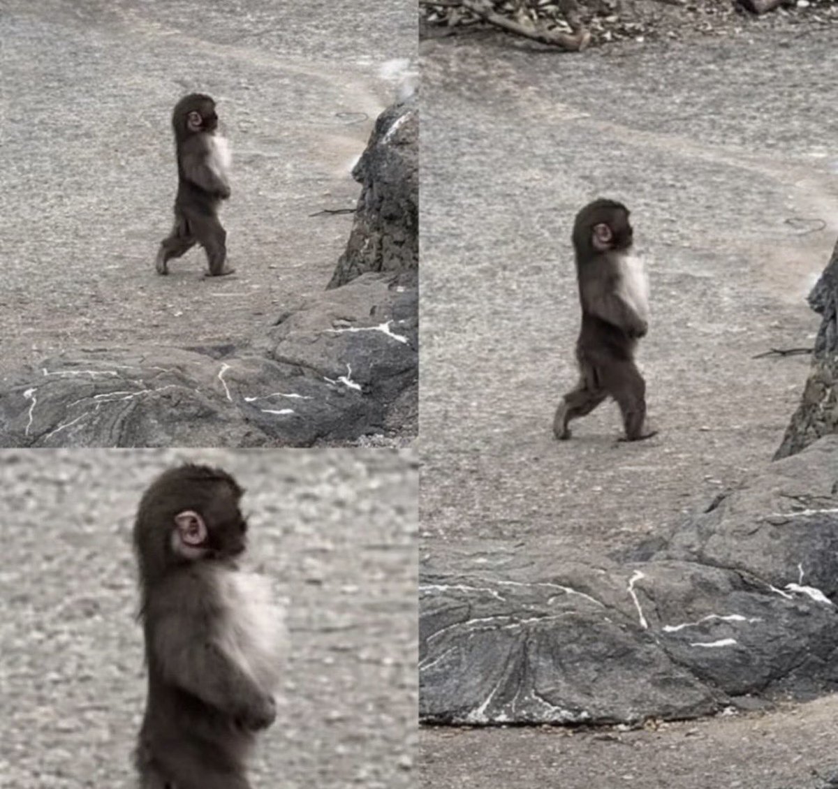 baekhyun_a tweet media