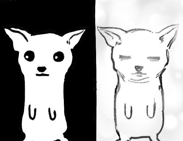 终于躺在马路上 tweet media